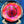 Load image into Gallery viewer, Dynamic Discs - Raptor Eye Felon - Fuzion - Misprint
