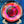 Load image into Gallery viewer, Dynamic Discs - Raptor Eye Felon - Fuzion - Misprint
